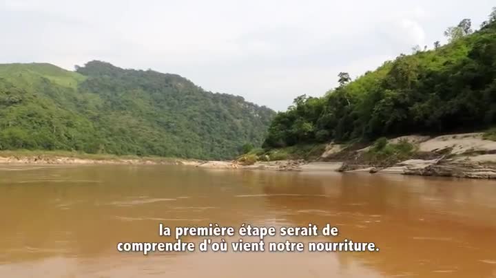 Extrait vidéo du film  Permaculture, la voie de l autonomie