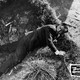 photo du film Le Crime Etait Signe
