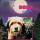 photo du film Benji la malice