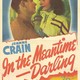 photo du film In The Meantime Darling