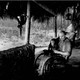 photo du film Le Talion