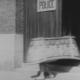 photo du film Max prend un bain