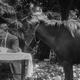 photo du film Max Dans Sa Famille