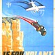 photo du film Le fou volant