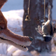 photo du film Les Fables de Monsieur Renard