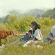 photo du film Lamb