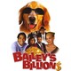 photo du film Bailey's Billion$