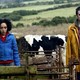 photo du film Isolation