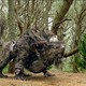 photo du film Le Secret de Terabithia