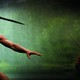 photo du film End of the Spear