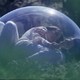 photo du film Eggshells
