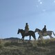 photo du film Les Voleurs de chevaux
