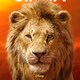 photo du film Le Roi Lion