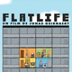 photo du film Flatlife