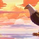 photo du film Yakari