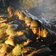 photo du film L'honneur des guerriers