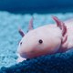 photo du film Poissonsexe