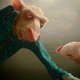 photo du film La Légende de Despereaux