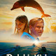 photo du film Dolphin Kick