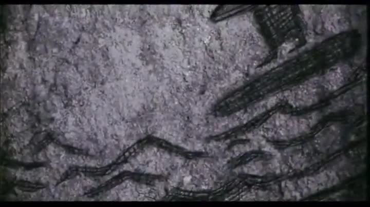Extrait vidéo du film  Les Rois de la glisse