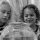 photo du film Little Feet