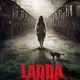 photo du film Laddaland