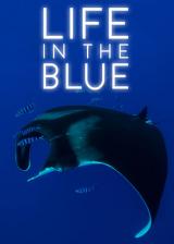 Life In The Blue