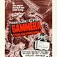 photo du film Gammera the Invincible