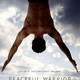 photo du film Peaceful warrior