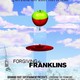 photo du film Forgiving the Franklins