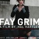photo du film Fay Grim