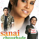 photo du film Sanai Choughade