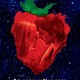 photo du film Across the Universe