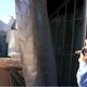 photo du film Esquisses de Frank Gehry