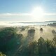 photo du film Arbres et forêts remarquables (2), un univers à explorer