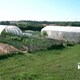 photo du film Les Mains dans la terre, naissance d'un écovillage