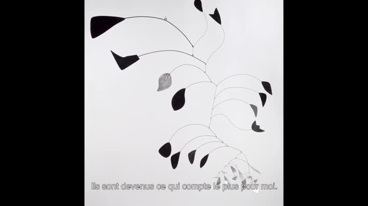 Extrait vidéo du film  Peggy Guggenheim : la collectionneuse