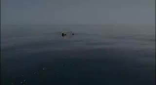 Extrait vidéo du film  Beowulf : Prince of the Geats