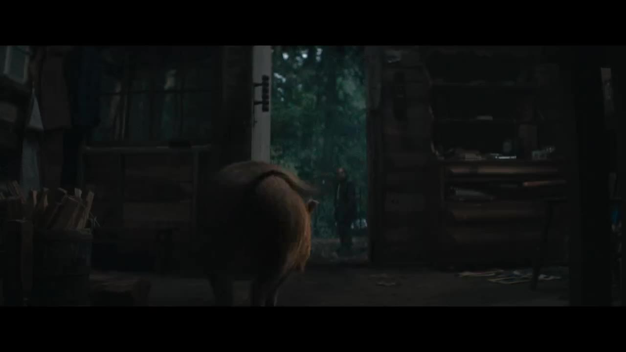 Extrait vidéo du film  Pig