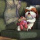 photo du film Nous, les chiens