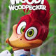 photo du film Woody Woodpecker