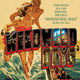 photo du film Wildwood Days