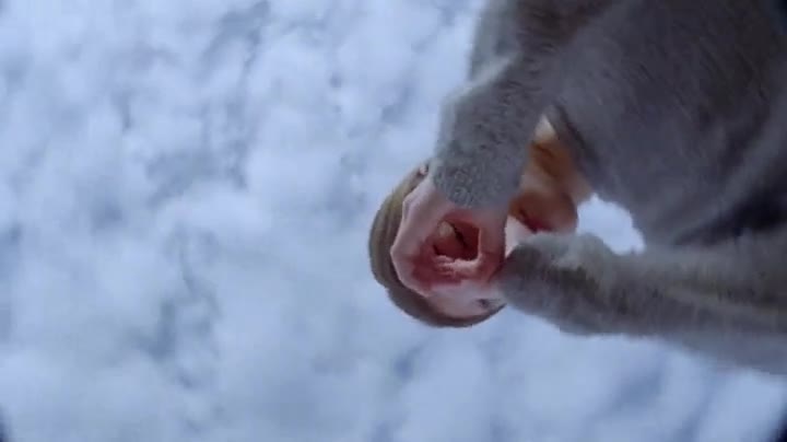 Extrait vidéo du film  Pau