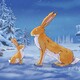 photo du film Le Noël de petit lièvre brun