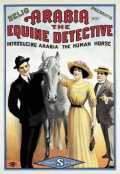 Arabia : The Equine Detective