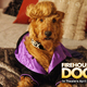 photo du film Rex, chien pompier