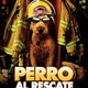 photo du film Rex, chien pompier