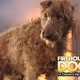 photo du film Rex, chien pompier