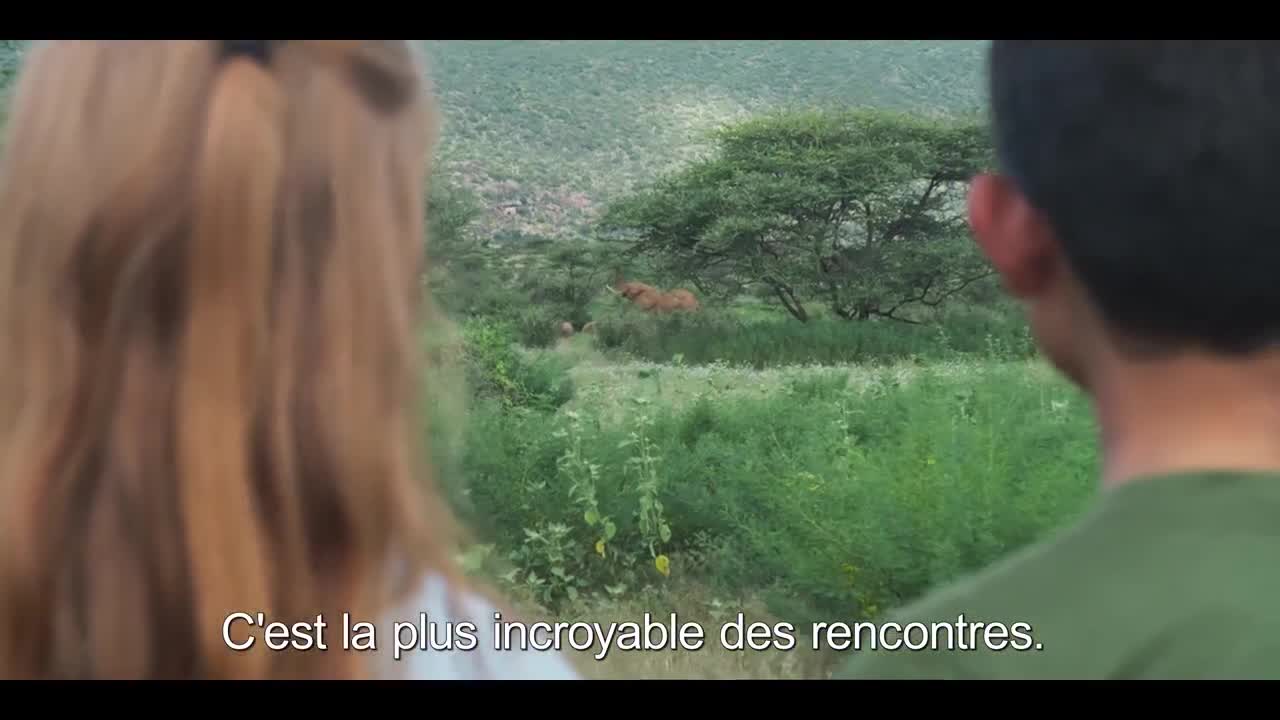 Extrait vidéo du film  Animal