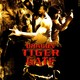photo du film Dragon Tiger Gate